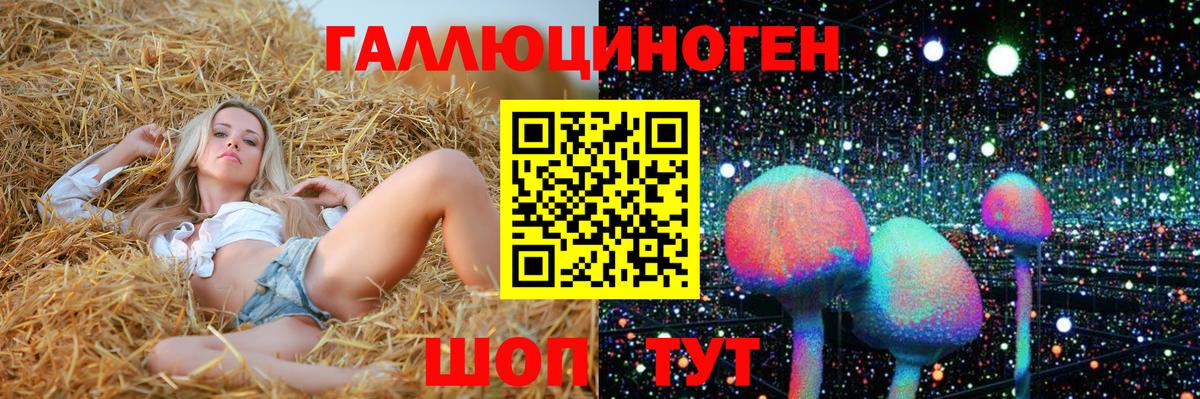 Псилоцибиновые грибы прущие грибы Лиски
